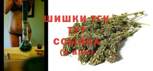 дживик Киренск