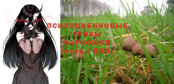 дживик Киренск