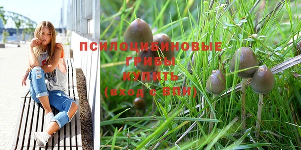 прущая мука Кодинск