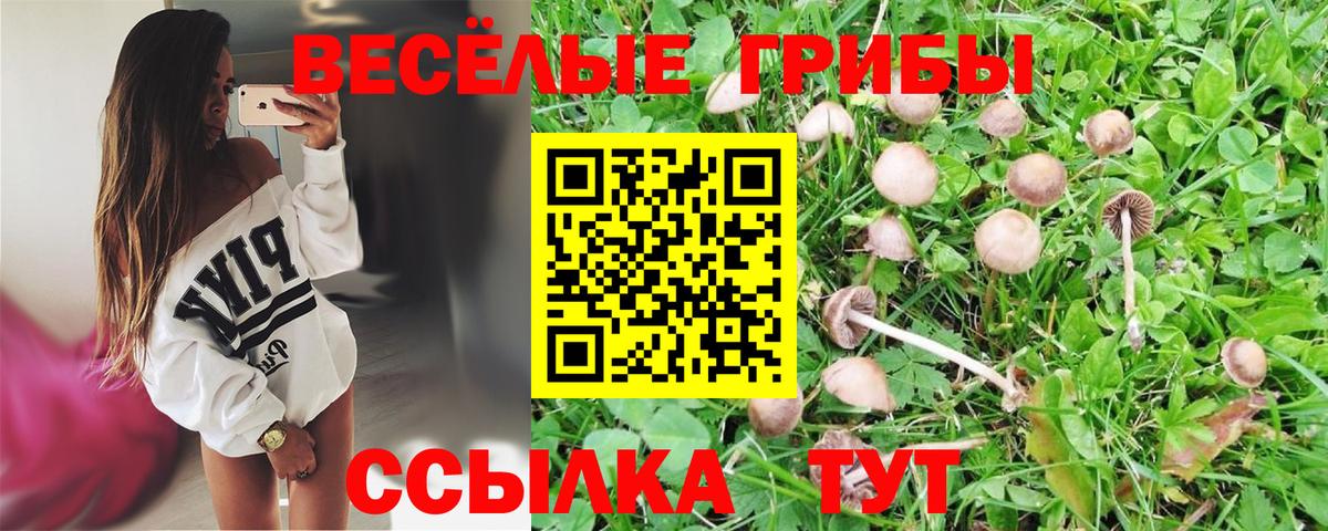 Псилоцибиновые грибы Cubensis  Галлюциногенные грибы GOLDEN TEACHER  Красноармейск  Вход с VPN 