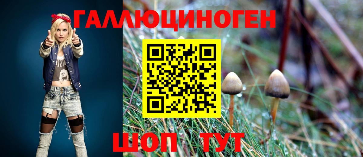 Псилоцибиновые грибы прущие грибы Красноармейск